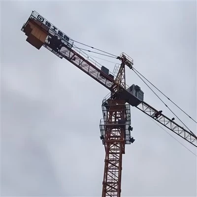 Grue à tête de tour